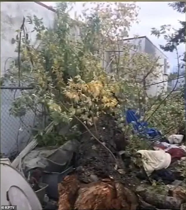 Portland family reaches confidential settlement over fatal tree branch accident.