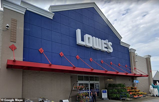 Seven kittens rescued from Lowe's after feral moms chose high shelf