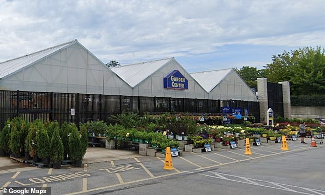 Seven kittens rescued from Lowe's after feral moms chose high shelf