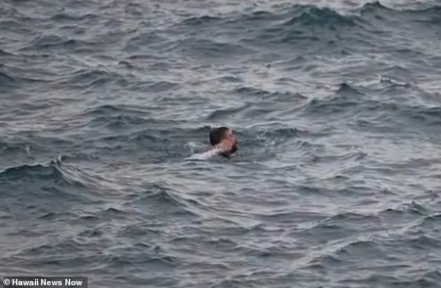 Tragic Wave: Man Dies after Near-Rescue at Hawaii's 'End of the World'.