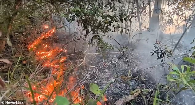 Amtrak Train Stranded in Florida for 24 Hours Due to Massive Brush Fires