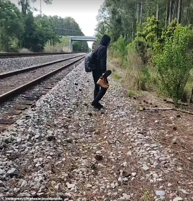 Amtrak Train Stranded in Florida for 24 Hours Due to Massive Brush Fires