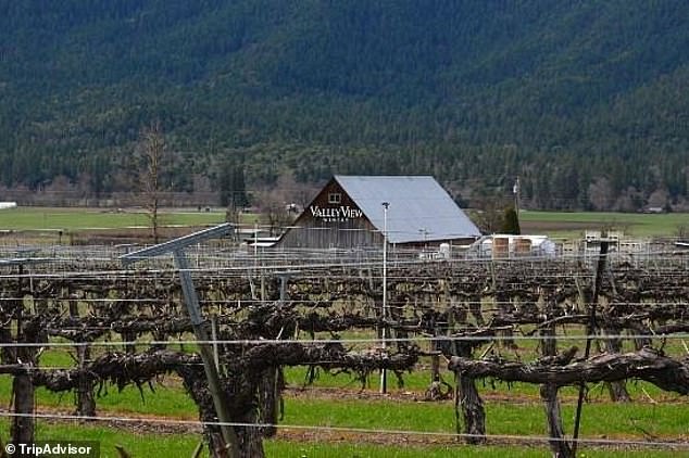 Oregon Winery Family War Ends in Shocking AI Courtroom Twist