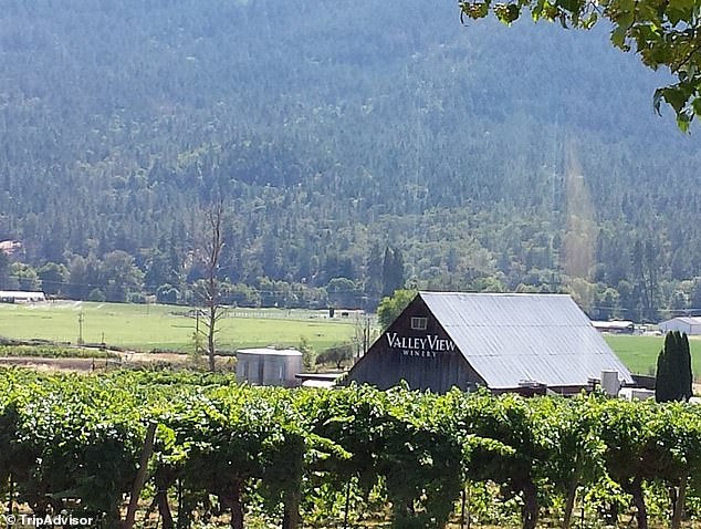 Oregon Winery Family War Ends in Shocking AI Courtroom Twist