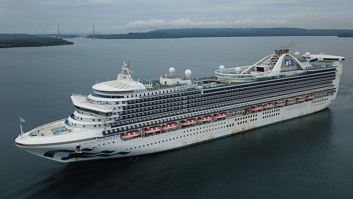 Caribbean Princess Cruise Ship Hit by Severe Norovirus Outbreak