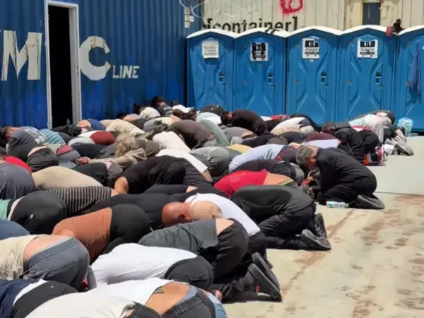 Hundreds of detained pro-Palestinian activists deported after alleged beatings in Israeli custody