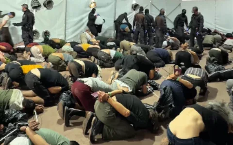 Hundreds of detained pro-Palestinian activists deported after alleged beatings in Israeli custody