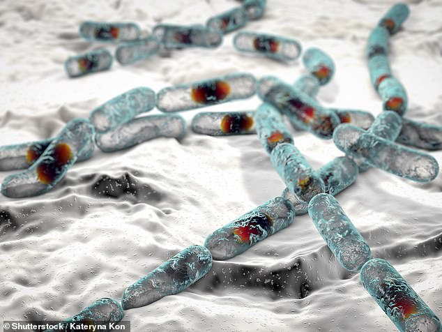 Viral 'boy kibble' diet trend poses deadly food poisoning risk.