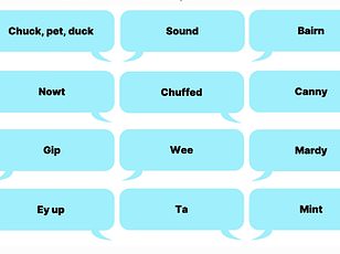 Linguist reveals how vowel sounds make swear words more offensive in the South.