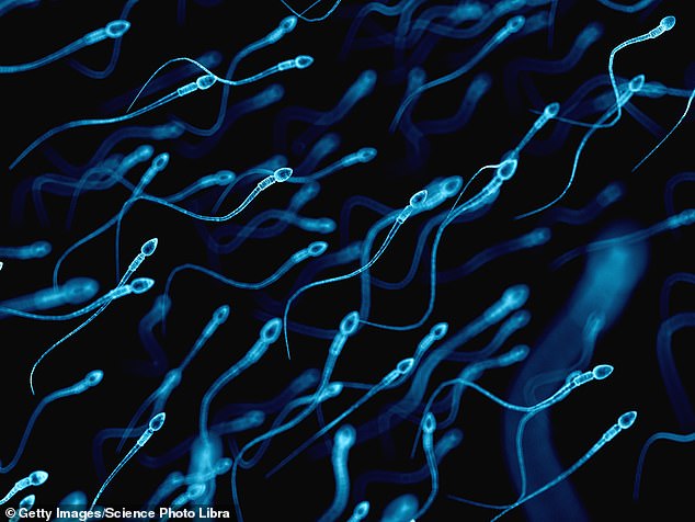 GLP-1 Injections Could Boost Sperm Quality and Testosterone in Obese Men