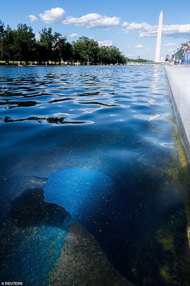 Former Olympian Denies Vandalism Charges at Reflecting Pool Amidst Political Pressure