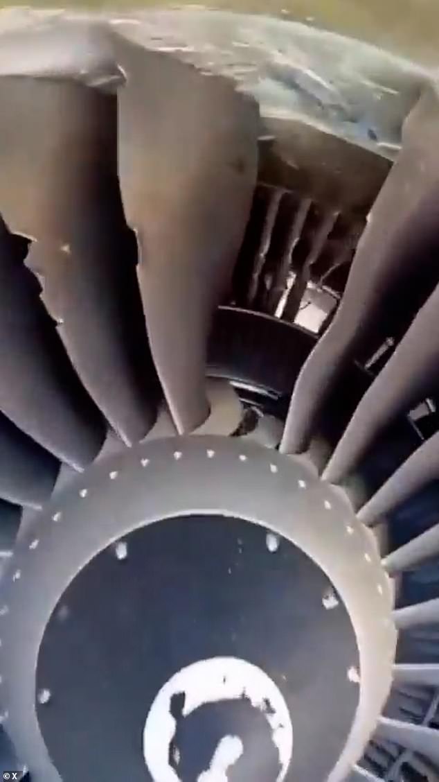Wife Clings to Husband Outside Plane Window After Engine Debris Shatters Cabin Glass
