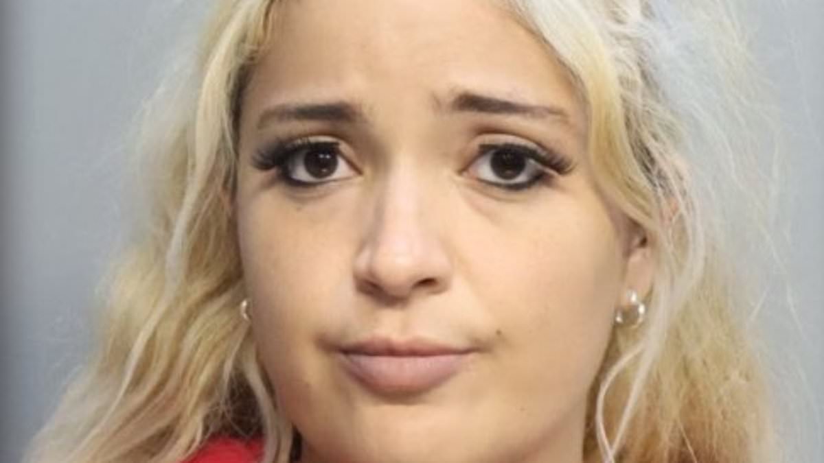 Woman Stabs Uber Passenger Over Beer Dispute in Miami