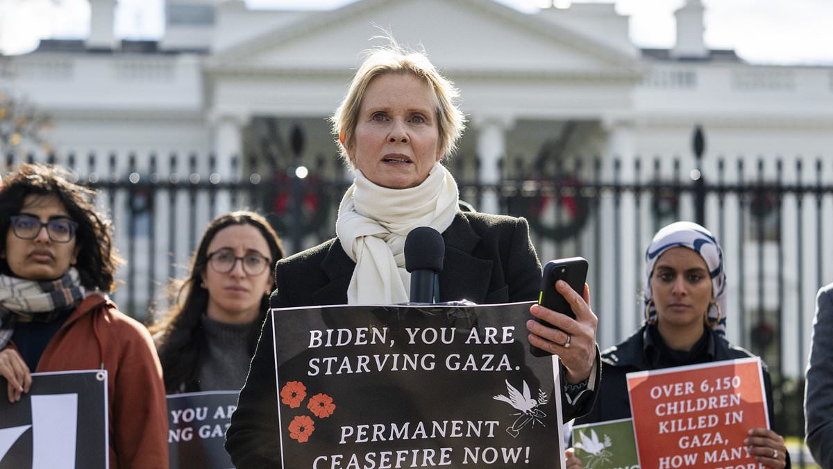 Actress Cynthia Nixon's Appointment to Judicial Panel Sparks Controversy Over Shoplifting Views.
