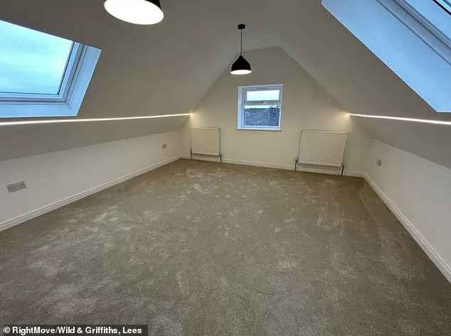 Controversial £850,000 Home Sparks Debate Over Interior Design