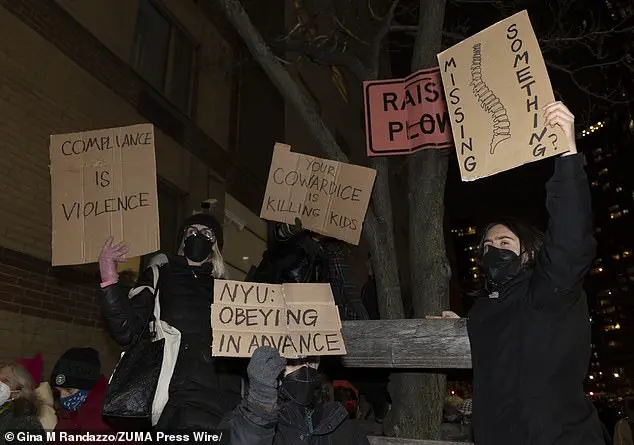 Cynthia Nixon speaks out in support of transgender youth during protest