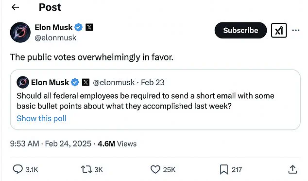 Elon Musk's Email to US Border Patrol Agents Frustrates and Confuses Officers