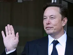 Elon Musk's Mission to Reform Government Agencies