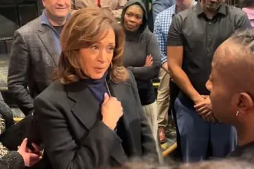 Kamala Harris' Broadway Appearance Sparked Mixed Reactions