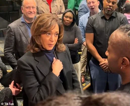 Kamala Harris' Broadway Appearance Sparked Mixed Reactions