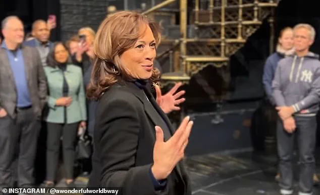 Kamala Harris' Broadway Appearance Sparked Mixed Reactions