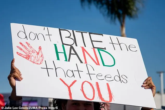 Los Angeles Protests Block Freeways, Clash with Cops