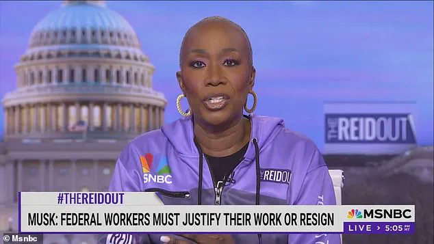 MSNBC Canceels Joy Reid's Show Over Controversial Social Media Posts