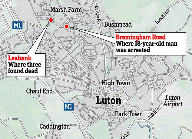 Teenager's School Shooting Plans: A Troubling Development in Luton