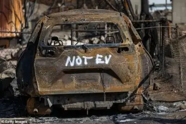 Wildfire Devastation in Los Angeles: Aerial Footage Reveals Extent of Damage