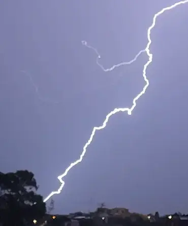 Woman Killed, Another Injured in Lightning Strike near Tree Explosion
