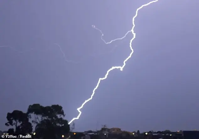 Woman Killed, Another Injured in Lightning Strike near Tree Explosion