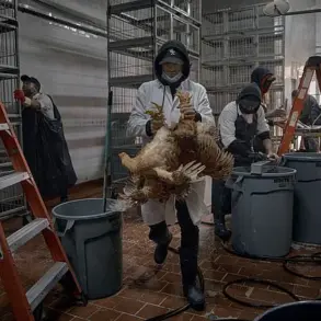 Are We Ready for the World's Next Pandemic?