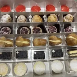 FDA and CDC Issue Urgent Recall for Salmonella-Tainted Desserts Imported by Piu Che Dolci Inc.