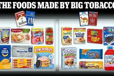 Hyper-Palatable Snacks: The Addictive Nature of Processed Foods Designed to Hijack the Brain