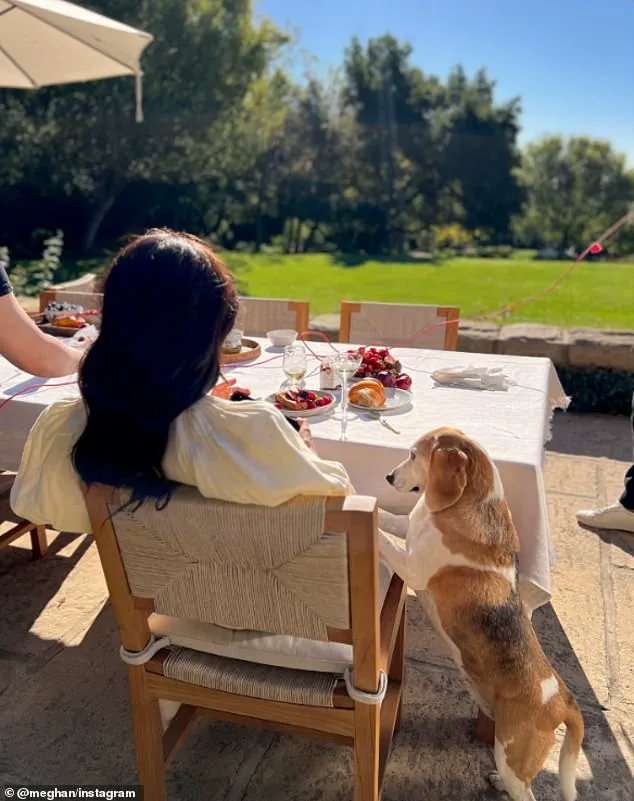 Meghan Markle's Self-Promotional Stunt Continues with As Ever Brand Launch