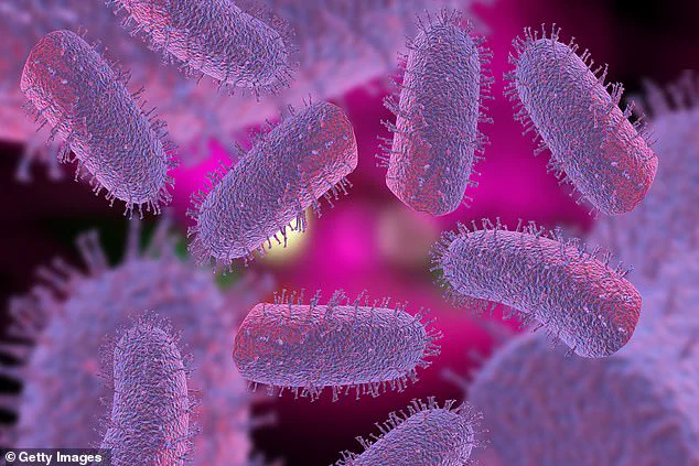 Michigan Resident Dies from Rabies Contracted Through Organ Transplant