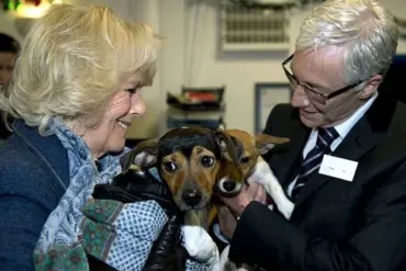 Queen's New Pup: A Rescue Dog Joins the Royal Menagerie