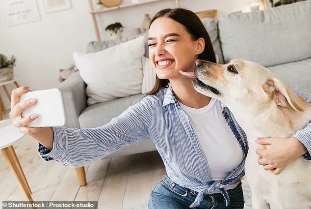Rare Fatal Infection from Dog's Lick: Coroner Warns Pet Owners