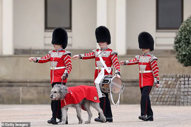 Senior Guardsmen Toast Princess Kate at Private Ceremony