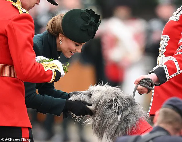 Senior Guardsmen Toast Princess Kate at Private Ceremony