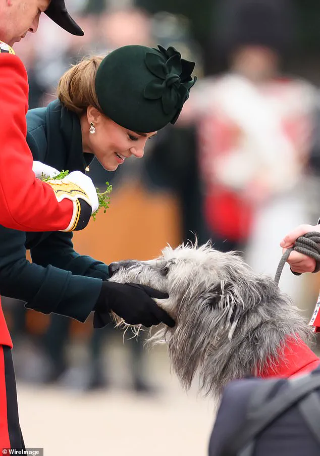 Senior Guardsmen Toast Princess Kate at Private Ceremony