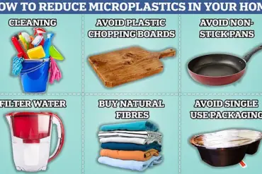 Tap vs Bottled Water: The Surprising Impact on Microplastic Exposure