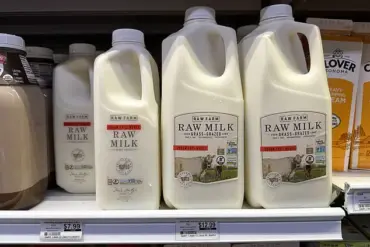 The Exclusive Guide to Navigating the World of Dairy Alternatives