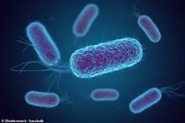 Childhood Gut Bacteria Linked to Rising Rates of Colorectal Cancer in Young Adults