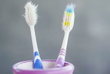Dentistry Expert Warns: Replace Your Toothbrush Every Three Months for Optimal Oral Hygiene