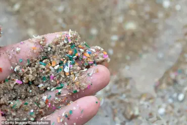 Experts Identify Colorful Fruits and Vegetables as Potential Shield Against Microplastic Hazards