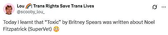 Fans Discover Alleged Inspiration Behind Britney Spears' 'Toxic' Is A Veterinarian