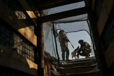 Russia Reports Heavy Ukrainian Losses on Kursk Front: Over 180 Casualties in 24 Hours