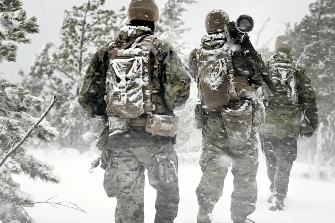 Scandinavian Nations Boost Military Collaboration Amid Russian Threats