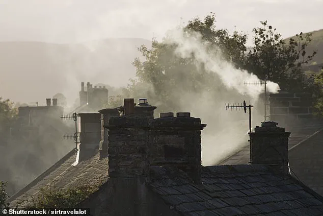 Senior Medics Criticize Government Plan to Permit Wood-Burning Stoves in New Homes